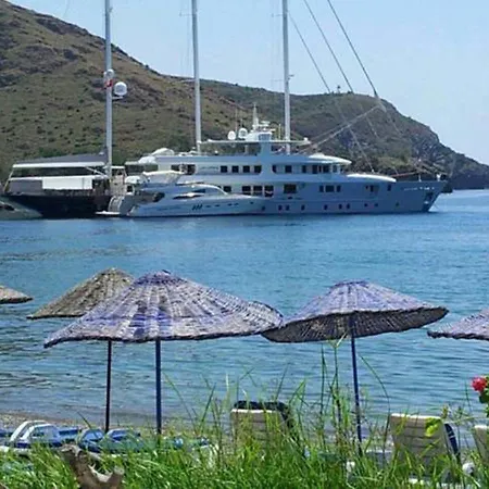 Aydeniz 3*